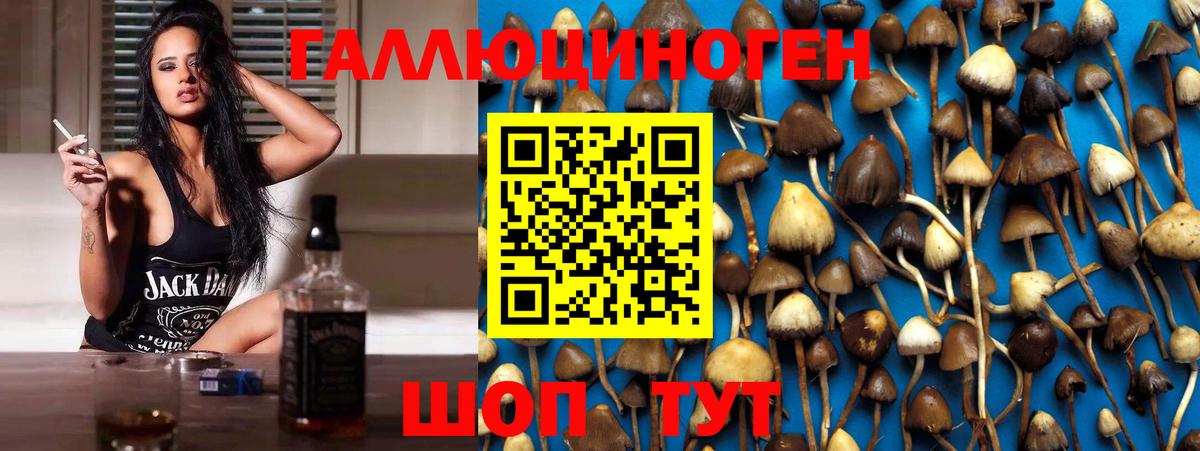 Псилоцибиновые грибы мицелий  Вход с VPN  Советский 