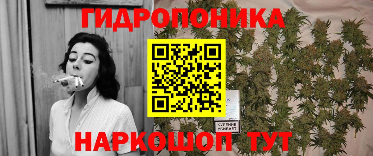 Шишки марихуана сатива  Вход с VPN  Конопля Amnesia  Марихуана White Widow  Советский 